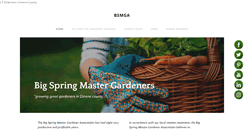 Desktop Screenshot of bsmga.com